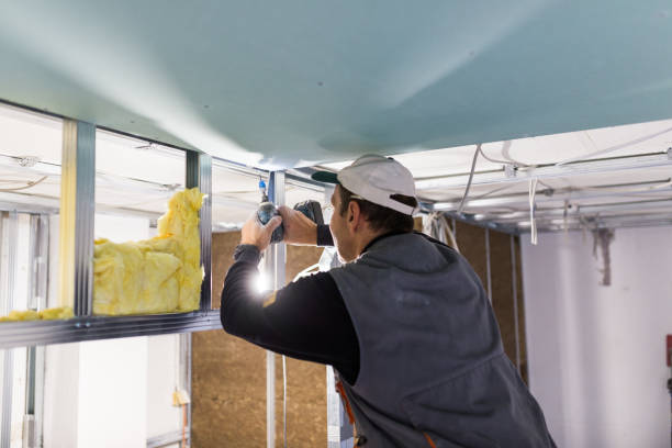 Best Spray Foam Insulation in Sheldon, IL