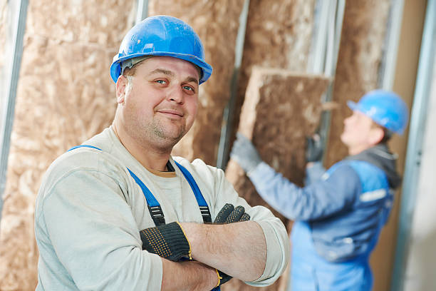 Best Eco-Friendly Insulation in Sheldon, IL