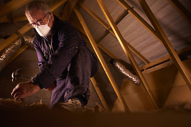 Best Geographic-Specific Insulation Services in Sheldon, IL