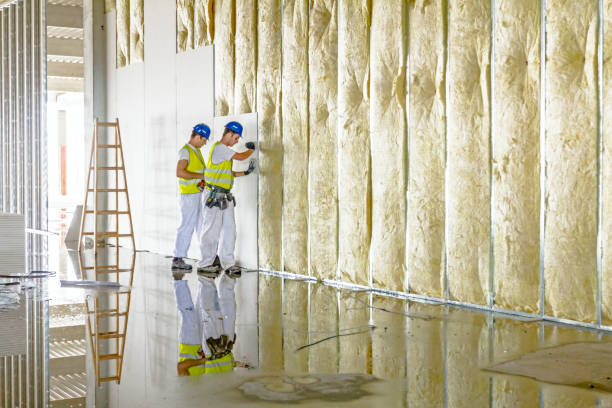 Best Fiberglass Insulation in Sheldon, IL